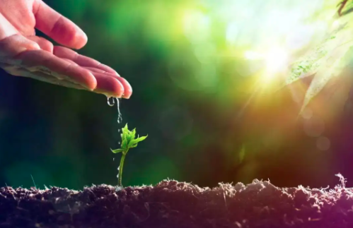 付出和回报,如何去均衡。