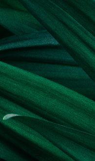 升华商管 | 2019年度拓展培训圆满结束 升华商管 | 2019年度拓展培训圆满结束