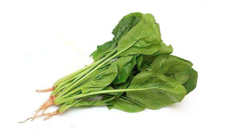 网站内容被采集了!发愁中!